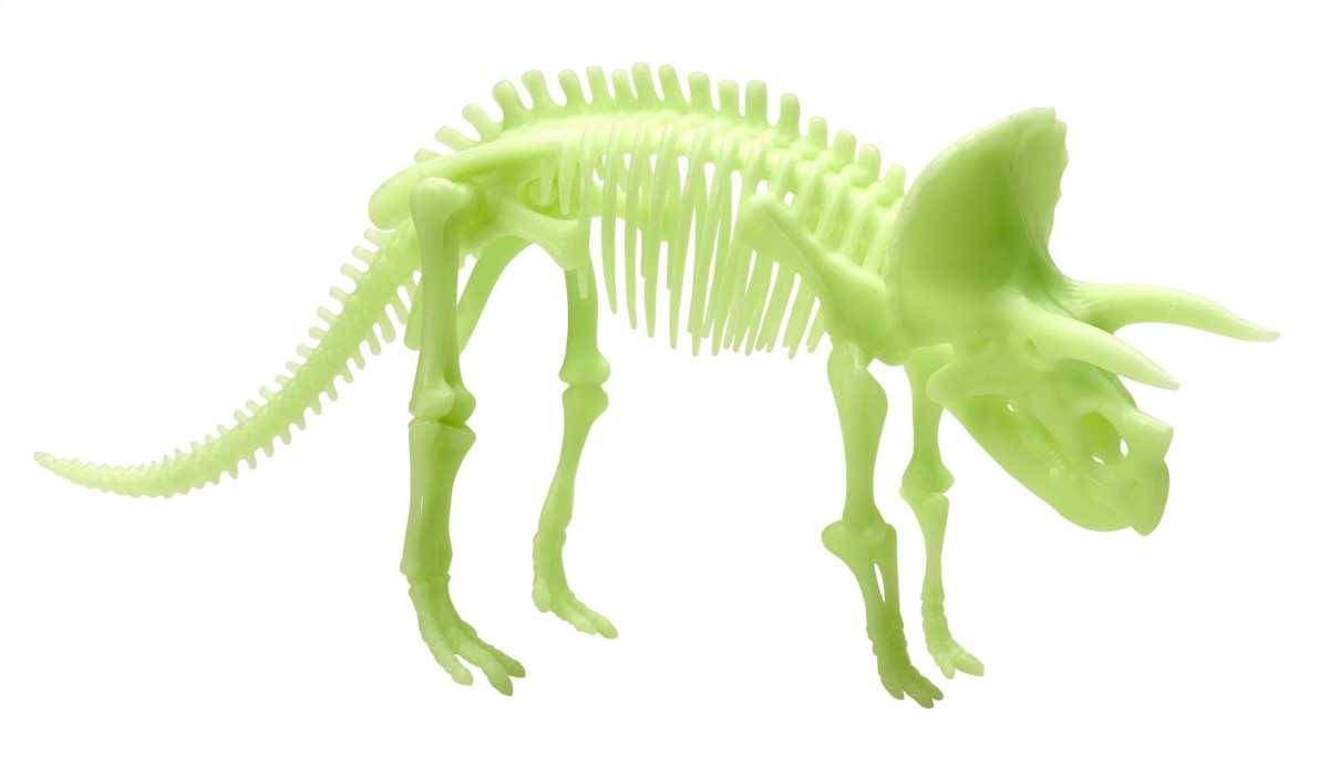 Triceratops Skelett Glow in the Dark